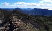 Tour Wandern Le Revest-les-Eaux - Le Mont Caume-17-03-21 - Photo 10