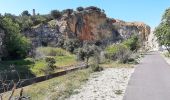 Excursión Bicicleta híbrida Comps - Voie verte depuis barrage de Vallabrègues Intersport Marguillier Saint Félix et fin au château de Beaucaire  - Photo 7