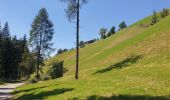 Randonnée Marche Toblach - Dobbiaco - Silverstertal - Valle San Silvestro - Photo 1