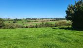 Trail Walking Hamois - Hamois 070923 - Photo 2
