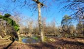 Randonnée A pied Fontainebleau - Boucle 28 km en forêt de Fontainebleau  - Photo 7