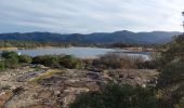 Tour Wandern Le Cannet-des-Maures - 20240121 Les Escarcets  - Photo 2