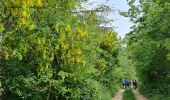 Trail Walking Geville - Gironville sous les côtes - Photo 1