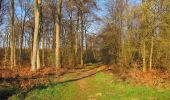 Tocht Stappen Vieux-Moulin - en forêt de Compiègne_26_la Grotte des Ramoneurs_Tournantes de la Queue de Saint-Etienne et sur la Côte de Roilaye - Photo 18