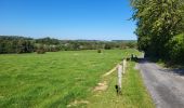 Trail Walking Hamois - Hamois 070923 - Photo 4