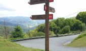 Trail Walking Hendaye - GR10 Hendaye Col d'Ibardin - Photo 5
