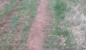 Trail Walking Mellecey - Mellecey  - Photo 1