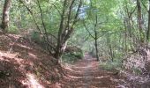 Trail Walking Andenne - seilles wanherisse 4,75 km - Photo 2