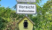Tour Zu Fuß Wiedemar - Grabschützer Naturlehrpfad - Photo 4