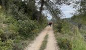 Excursión Senderismo Aniane - À l’âne château Capion - Photo 5