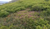 Trail Walking Camaret-sur-Mer - Autour de Camaret sur Mer - Photo 12