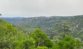 Excursión Senderismo Vissec - Visser - Photo 17