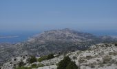 Randonnée Marche Marseille - PF-Marseille - Les calanques - Le Mont Puget - Photo 8