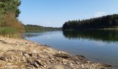 Tocht Stappen Bütgenbach - butchenbach tour du lac - Photo 6