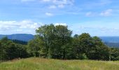 Trail Walking Bussang - Circuit col de bussang / tête de la Bouloie - Photo 10