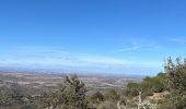 Tocht Stappen Montesquieu-des-Albères - Montesquieu des Albères - Photo 3