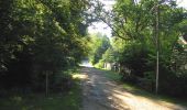 Trail On foot Compiègne - en forêt de Compiègne_34_autour du Buissonnet et du Berne - Photo 6