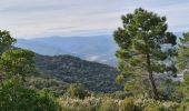 Randonnée Marche Cavalaire-sur-Mer - Cavalaire - oppidum de montjean crête des pradels - Photo 2