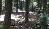 Trail Walking Arlon - la Gaichel - Photo 2