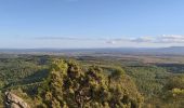 Trail Walking Caunes-Minervois - LaMatte  7 novembre 2023 - Photo 7