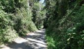 Trail On foot Orthez - PARI 2024 Orthez / Sault de Navailles 