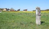 Tour Zu Fuß Beilngries - Benediktinerweg - Photo 4