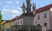 Tour Zu Fuß Leopoldschlag - Töpferweg - Photo 3