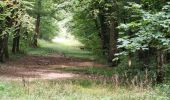 Tour Wandern Chamarande - Circuit dans le domaine du château de Chamarande - Photo 16