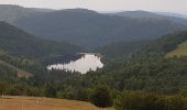 Trail Walking La Bresse - BREITSOUZE - DE LA SOURCE DE LA MOSELOTTE AU LAC DE LA LANDE - Photo 11