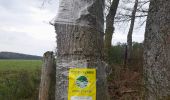 Tocht Stappen Bièvre - Marche ADEPS 10KM400 à Graide. - Photo 4