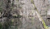 Trail Walking Chadeleuf - LES CROIX BASSES  - Photo 10