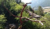 Trail Walking La Roche-des-Arnauds - SityTrail - Circuit de la combe du Duc - Photo 6
