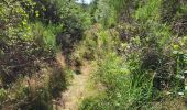 Trail Walking Trois-Ponts - logbierme 060824 - Photo 9
