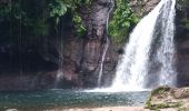 Tour Wandern Petit-Bourg - Saut de la Lézarde - Photo 4