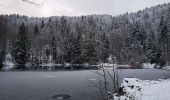 Tocht Stappen Lepuix - Ballon d'Alsace - rando raquettes Etang du Petit-Haut - Ballon d'Alsace - Etang des Roseaux - Cascade du Rummel - Photo 10