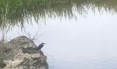 Trail Trail Sainte-Anne - Belle mare - Photo 1