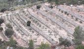 Excursión Senderismo Cuges-les-Pins - Cuges les pins + Trou du Vent - Photo 1