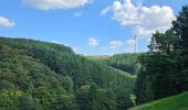 Randonnée Marche Clervaux - Clervaux - Sentier local CL 5 - Photo 9