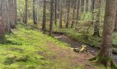 Trail Walking Marche-en-Famenne - Griembiemont  - Photo 2