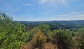 Tocht Stappen Bertrix - rando  auby sur semois 2-09-2022 - Photo 6