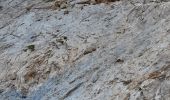 Percorso Marcia Gavarnie-Gèdre - pic de la mounia - Photo 4