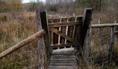 Excursión Senderismo Gouvy - Promenade vers la réserve naturelle 