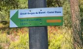 Randonnée Marche Bagnols-en-Forêt - Crête Diaou et gorges du Blavet - Photo 1