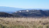 Trail Walking Gras - La dent de Rez (Les Hellys) - Photo 2