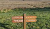 Percorso Marcia Grand-Fort-Philippe - Sentier Grand Fort Philippe  - Photo 14
