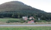 Trail Horseback riding Urbeis - Climont - Ban de Laveline - Photo 1