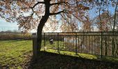 Trail Walking Herentals - Herentals 24,7 km - Photo 9