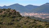 Tour Wandern Pierrefeu-du-Var - SityTrail - cabane des gardes-Pierrefeu-25-02-22 - Photo 7