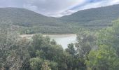 Percorso Marcia Vailhan - Le barrage des olivettes - Photo 1