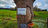 Tour Wandern Vielsalm - Balade à Salmchateau - Photo 19